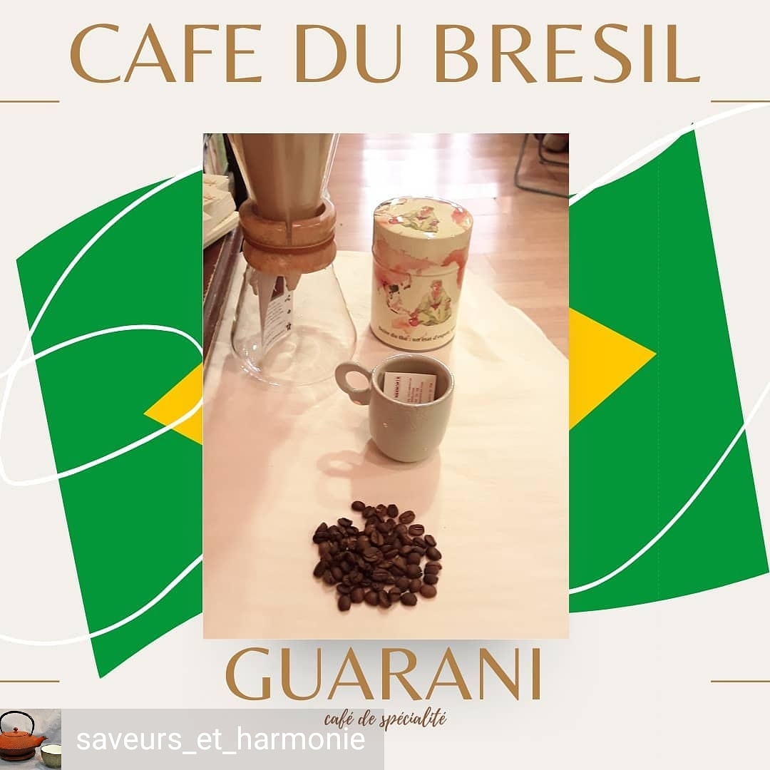 Café de spécialité du Brésil Guarani
