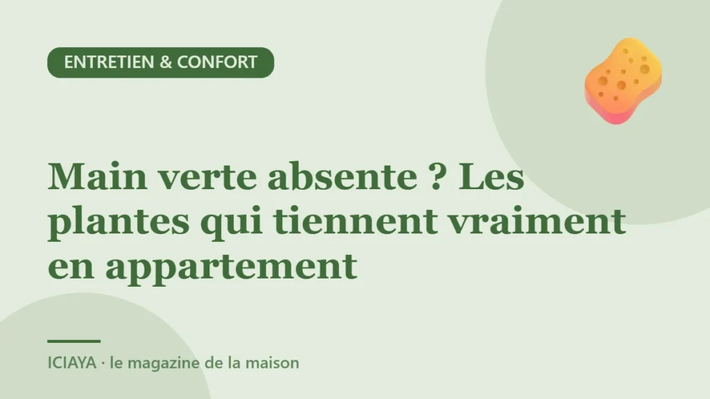 Main verte absente ? Les plantes qui tiennent vraiment en appartement